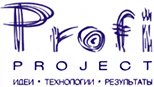 Профессиональный проект: идеи, технологии, результаты